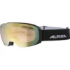Skibril Alpina Granby Black Matt / QVM Lightgold -Skimateriaal Winkel 1 7211736
