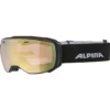 Skibril Alpina Estetica Black Matt / QVM Lightgold -Skimateriaal Winkel 1 7252732