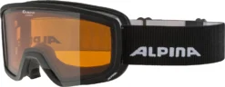 Skibril Alpina Scarabeo S Black DH Orange