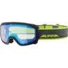 Skibril Alpina Scarabeo Jr. Black -Skimateriaal Winkel 5871775